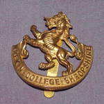 Wrekin College Cap Badge.
