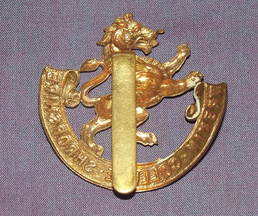 Wrekin College Cap Badge (2)