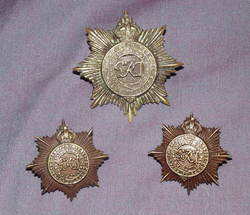 Two Collar Badges