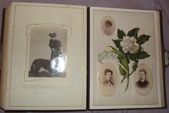 Victorian CabinetCDV Photograph Album (18)