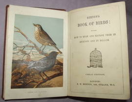 Beetons Book Of Birds (4)
