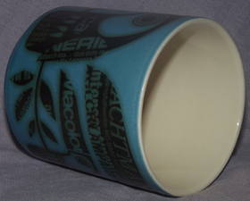 Hornsea Pottery Toucan Newsprint Mug (3)