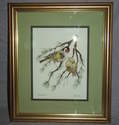 Goldfinches Framed and Signed Watercolour.