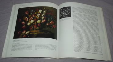 Spanish Still Life from Velazquez to Goya (3)