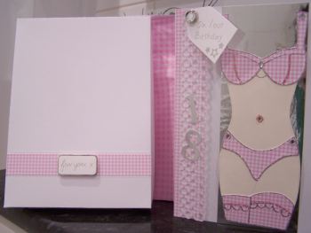 Boudoir Pink Gingham Bra & Pants 18th CD183