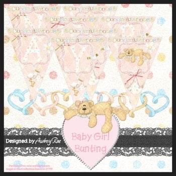 New Baby Girl Bunting