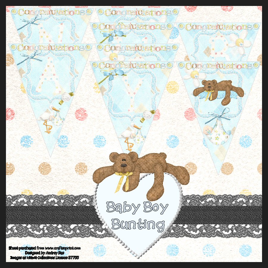 New Baby Boy Bunting