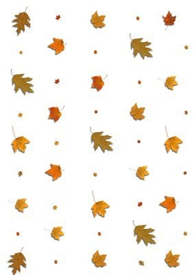 Autumn Leaves Backing Paper Instant Download