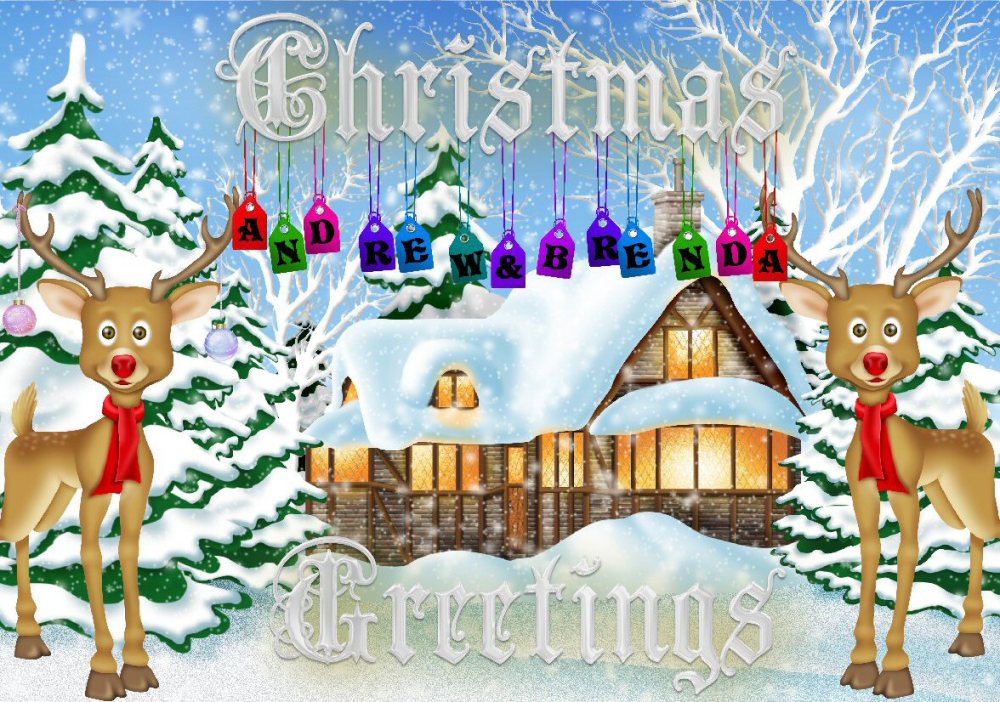 Christmas In New House CD698