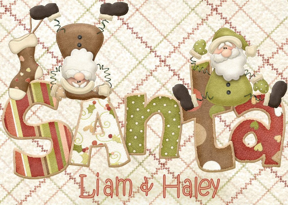 Holly Jolly Santa CD462