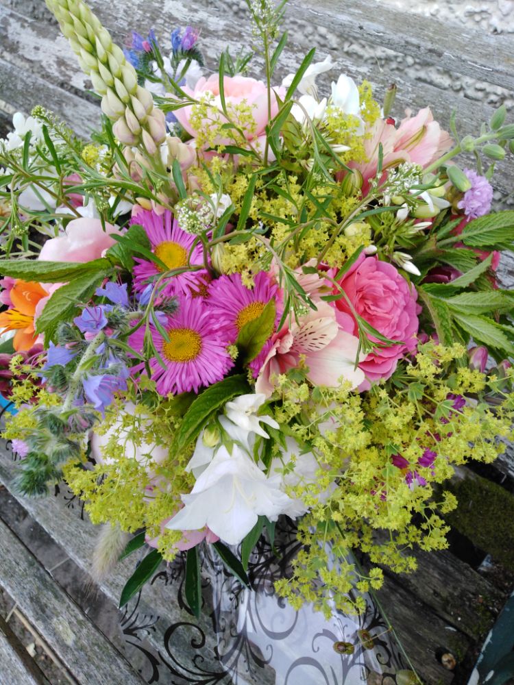 Flowers for Collection or Delivery - shop