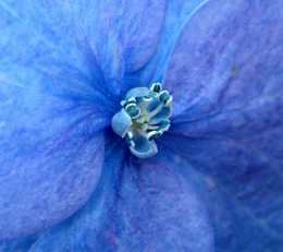 Massage Blog Feeling Blue