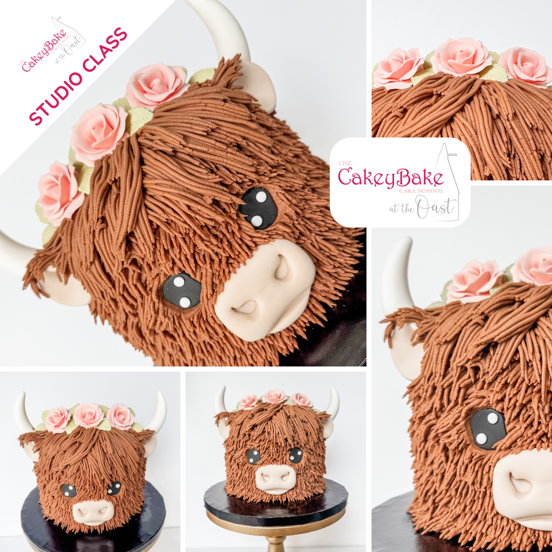 The Highland Cow Cake Class