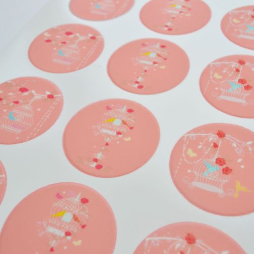 Edible Cupcake Toppers x 12 - Birdcage Design