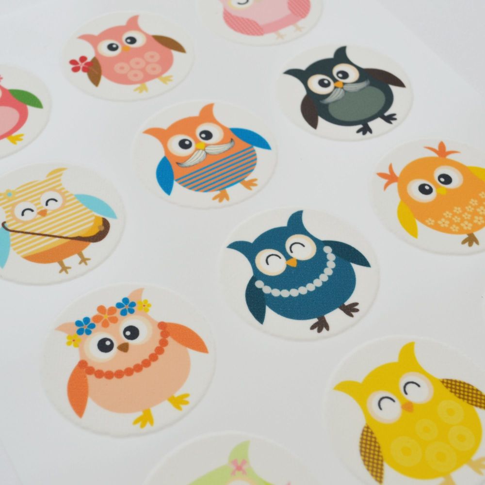 Edible Cupcake Toppers x 12 - Cute Comedy Owls