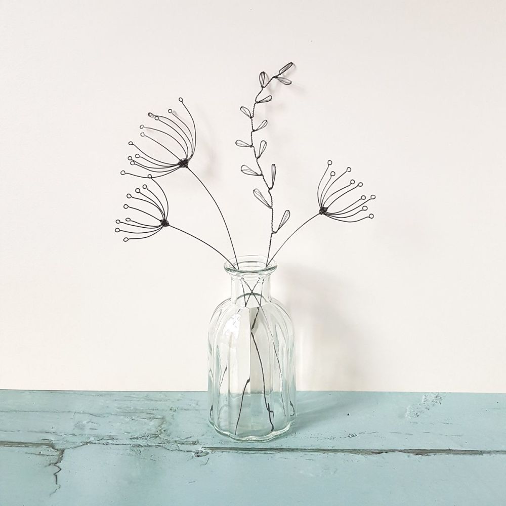 Delicate Seedheads