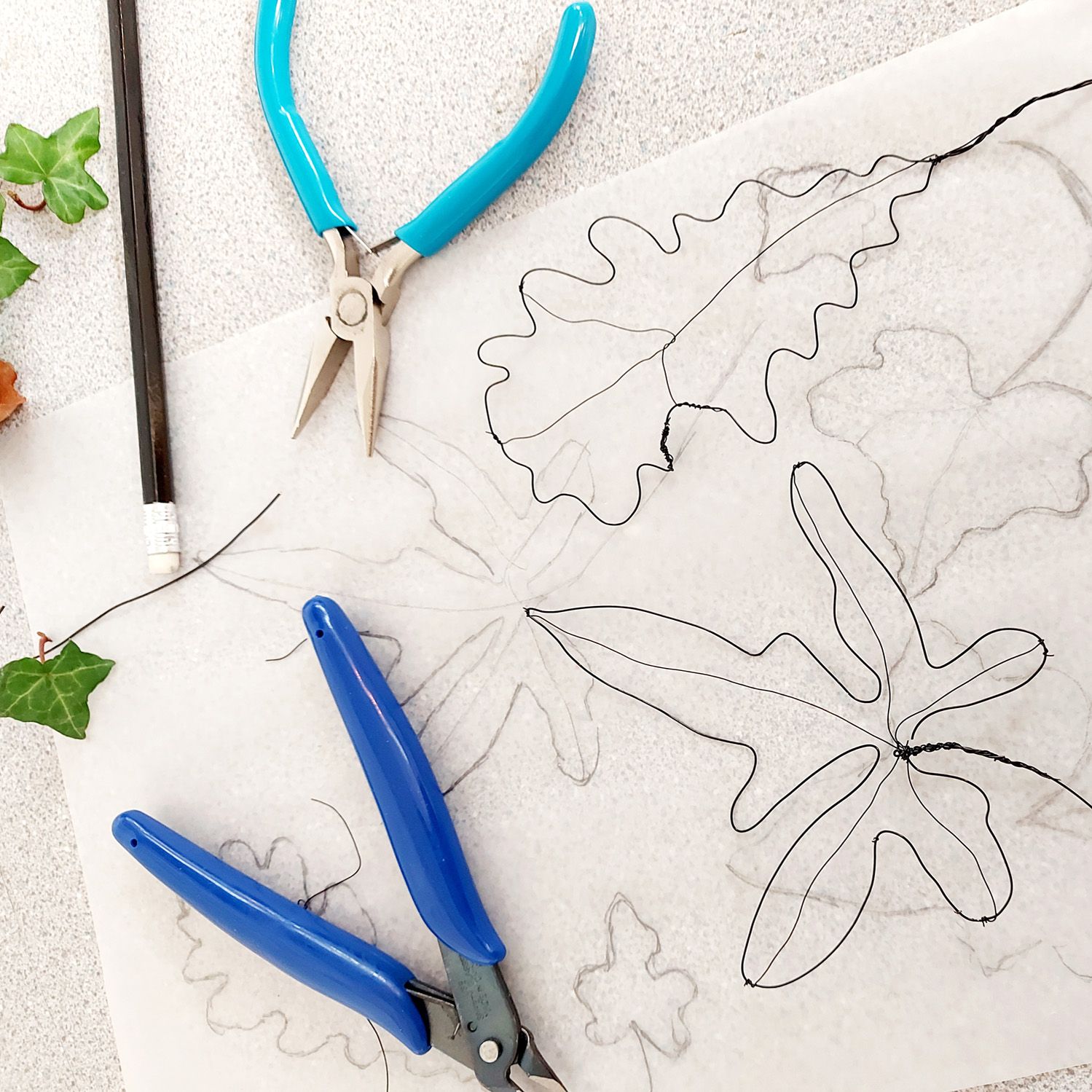 wire drawing workshop with Judith Brown leaves