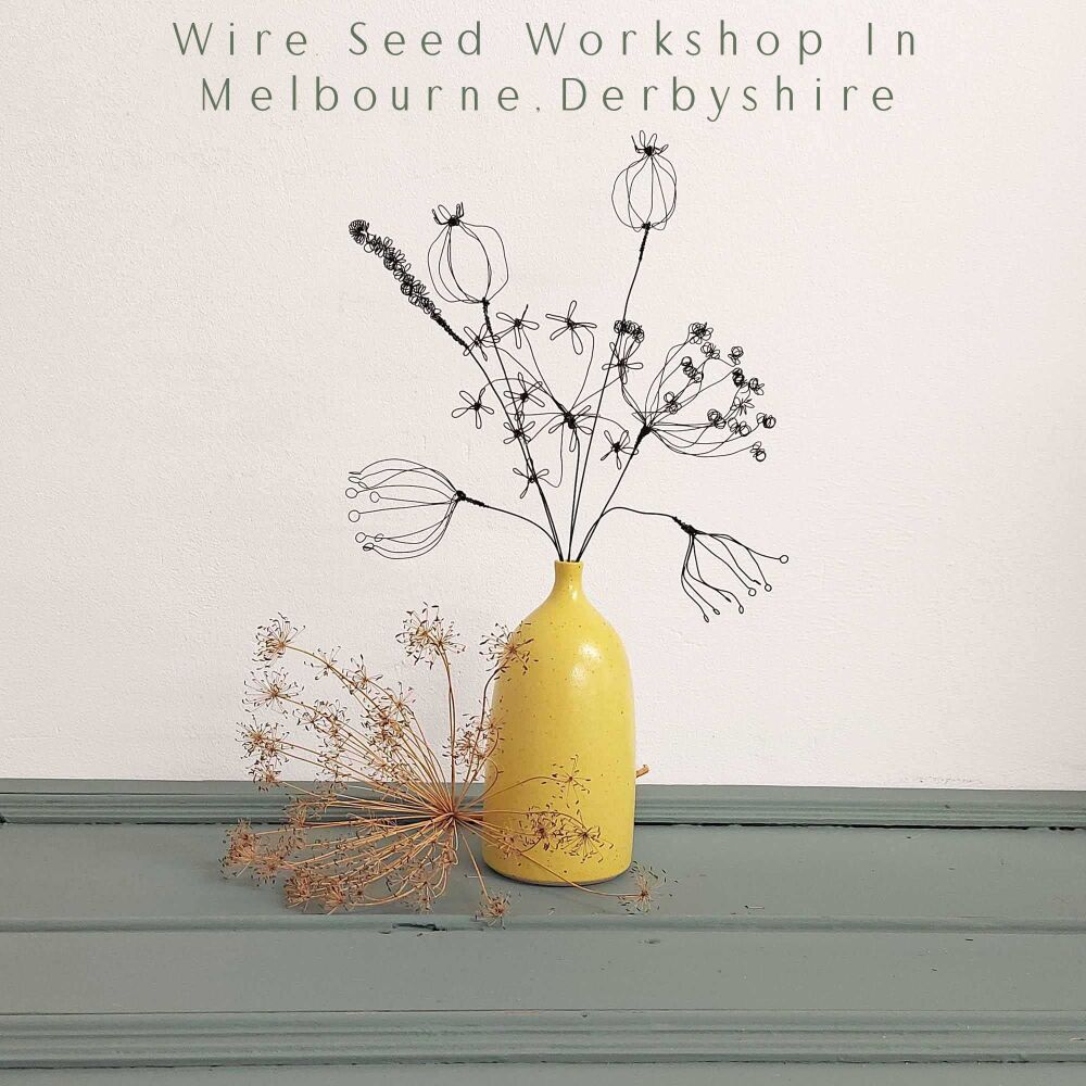 Melbourne Derbyshire, Wire Seed Head Stems April 2024