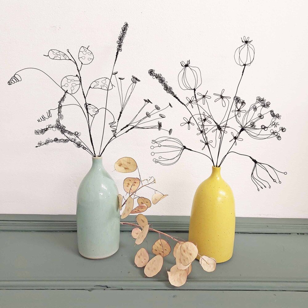 Wire Seed Head Stems 1st March 2026