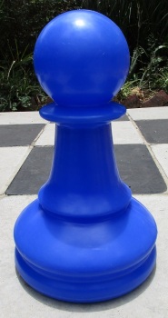 Sasol Blue Pawn