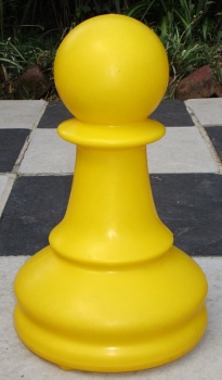Yellow Pawn 1