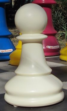 Ivory Pawn 1