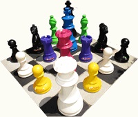 Individual Chess Pieces