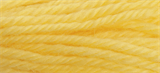 Anchor Tapestry Wool - 10m - Col. 8114