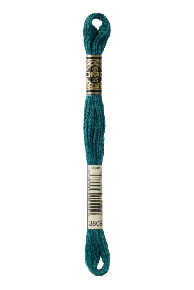 DMC - Stranded Cotton - Col. 3809
