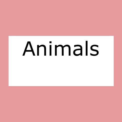Animals