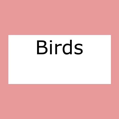 Birds
