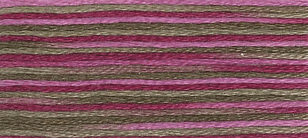 DMC - Coloris Stranded Cotton - Col. 4504