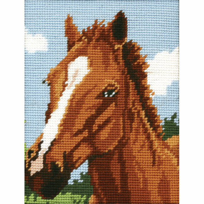 Tapestry Kit - Horse (Anchor)