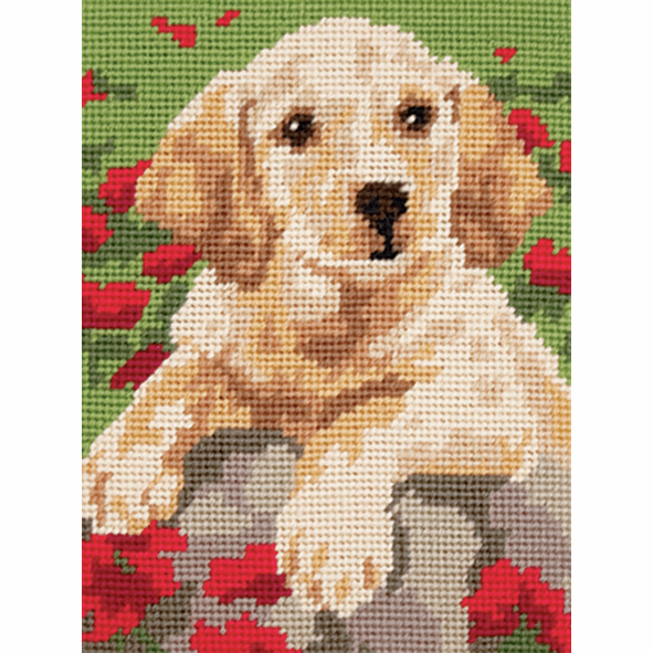 Tapestry Kit - Labrador Puppy (Anchor)