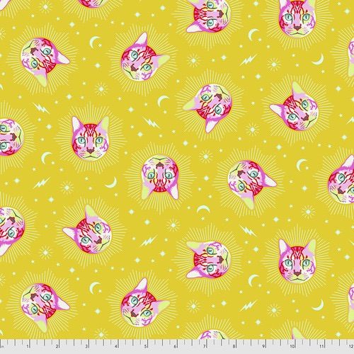 Tula Pink - Curiouser & Curiouser - Cheshire (Wonder) - PWTP164.WONDER
