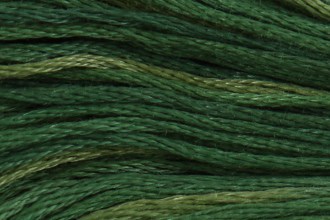 DMC - Stranded Cotton - Colour Variations - Col. 4045 - Evergreen Forest