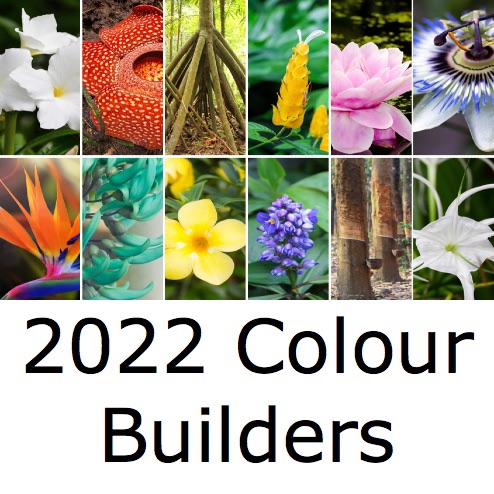 <!-- 000 -->Aurifil Colour Builder 2022
