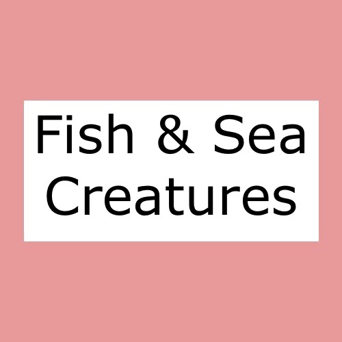 Fish & Sea Creatures