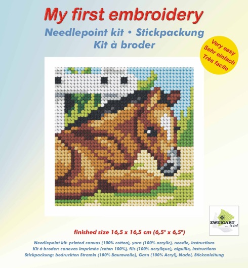 Needlepoint Kit - My First Embroidery - In The Field - Orchidea ORC.9603