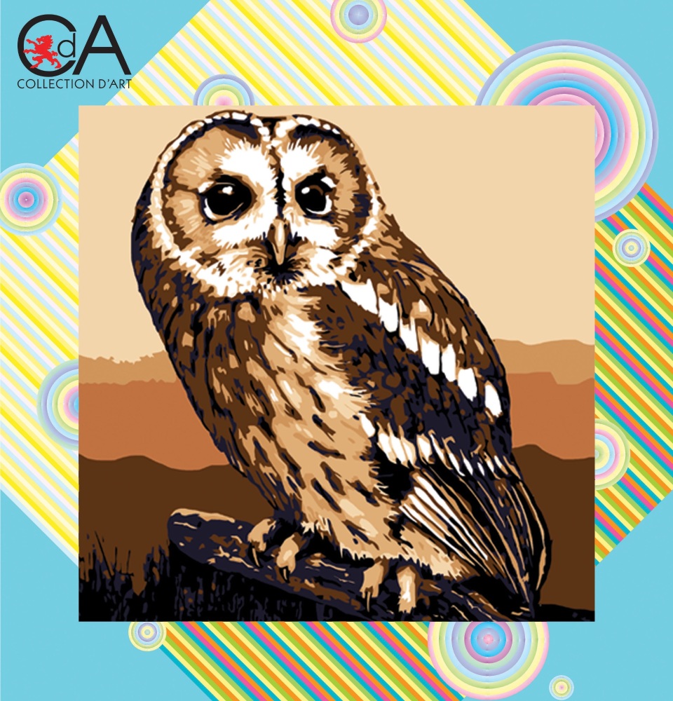 Tapestry Kit - Brown Owl - Collection d'Art CD4006K
