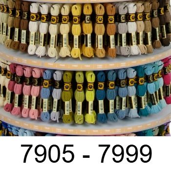 7900 - 7999