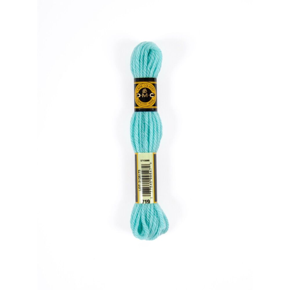 DMC Tapestry Wool - 719 Green - 8 metres