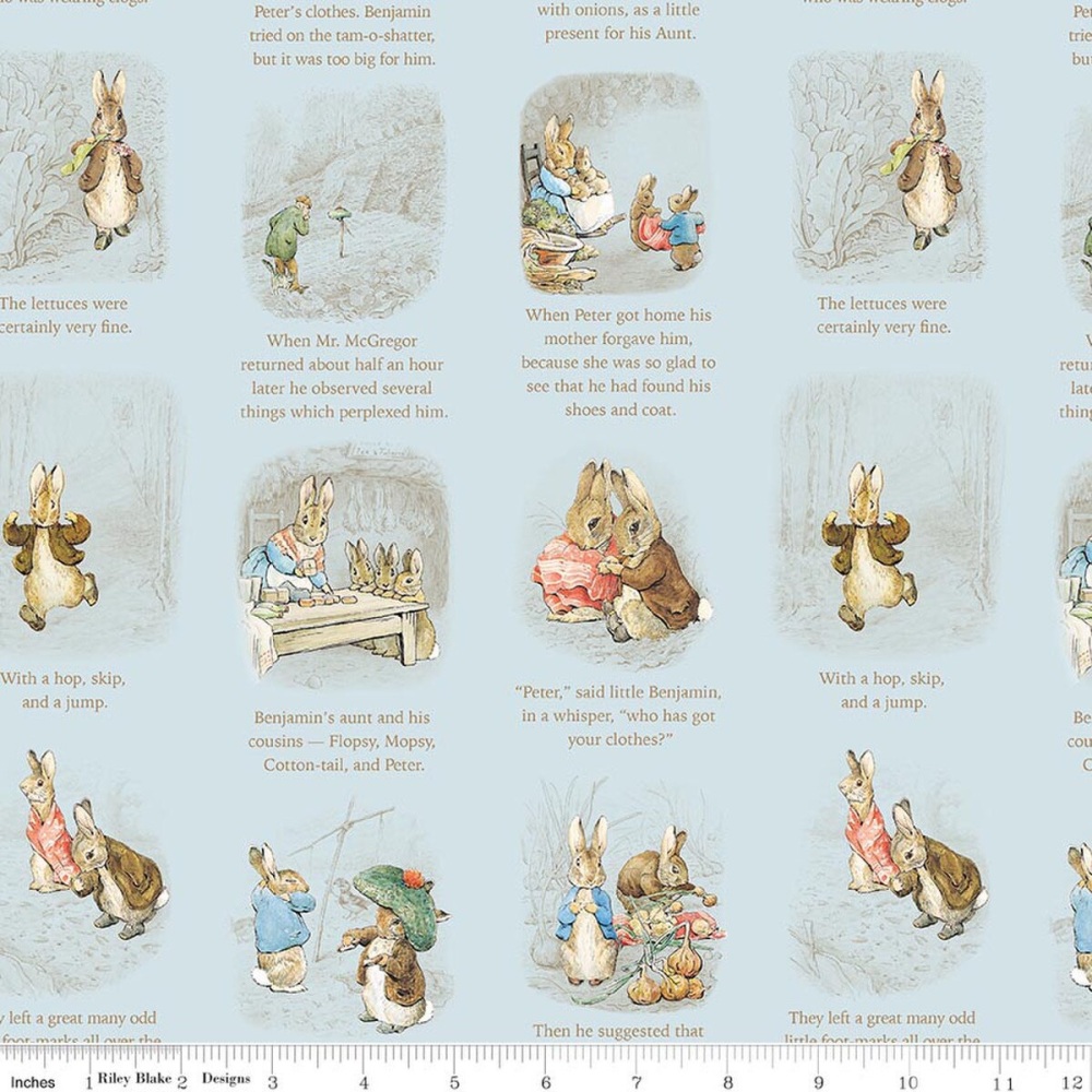 *COMING SOON - NOT YET AVAILABLE TO PURCHASE* - Peter Rabbit™ & Benjamin Bunny™ - Story Time - Blue - CD17252.BLUE
