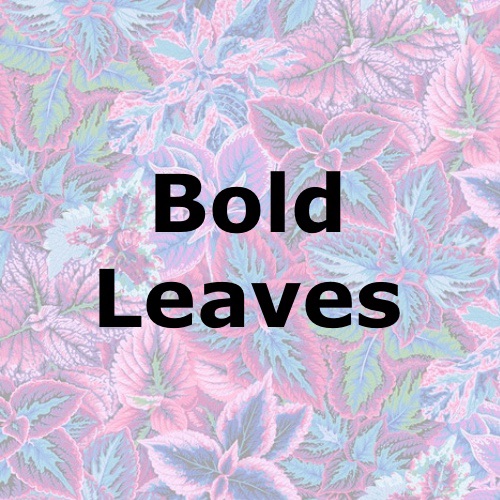 Bold Leaves
