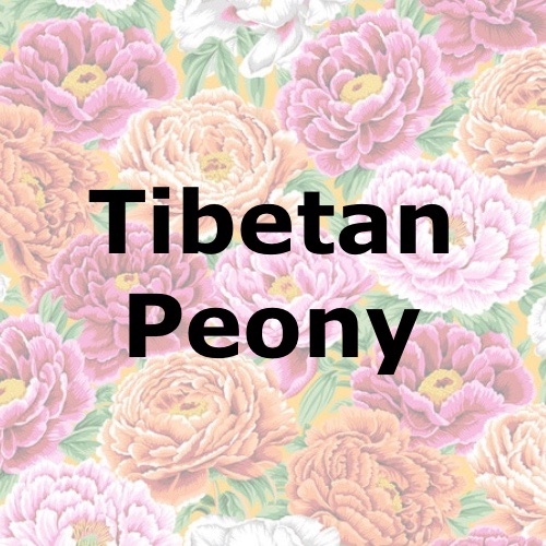 Tibetan Peony