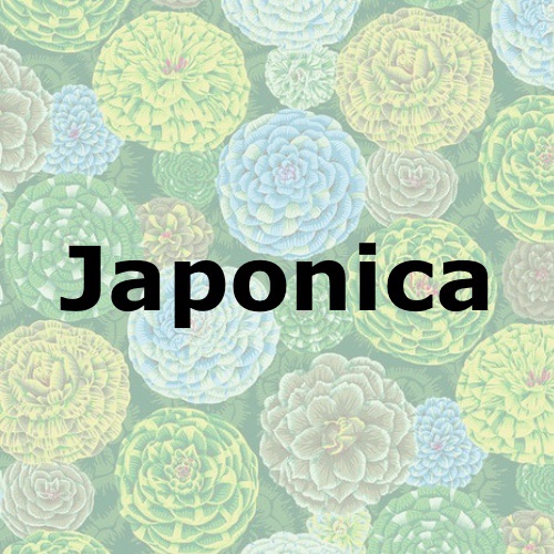 Japonica