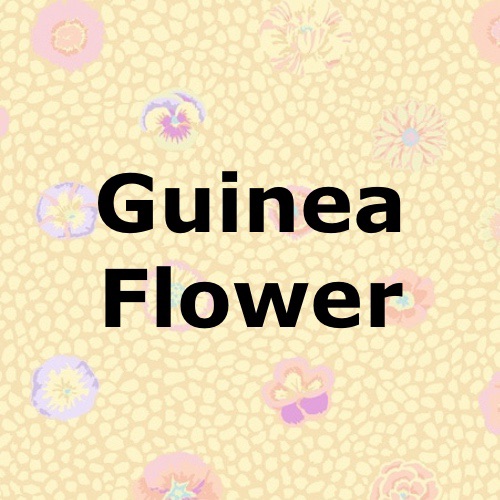 Guinea Flower