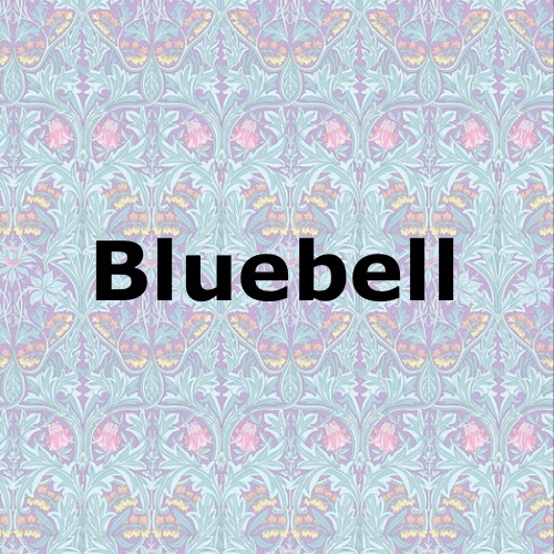 Bluebell