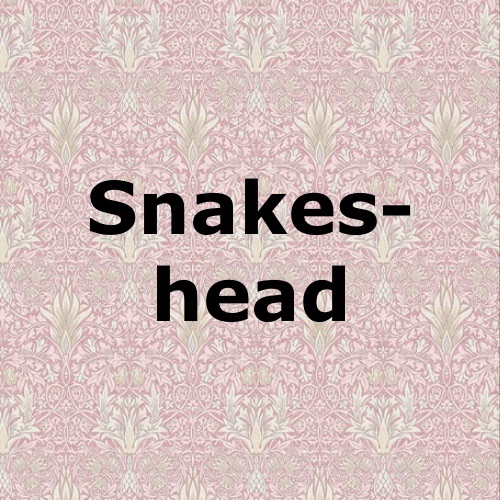 Snakeshead