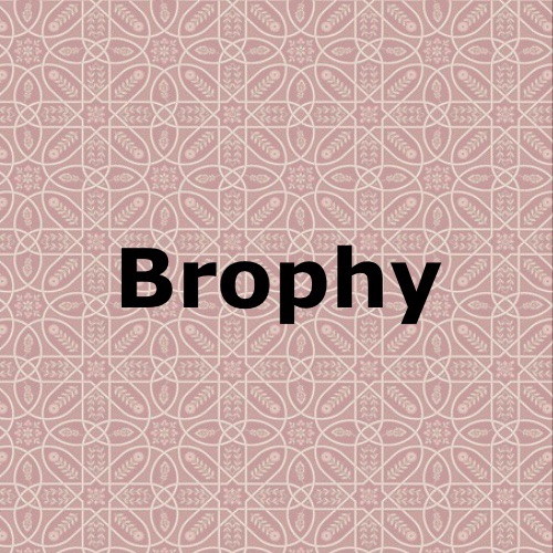 Brophy